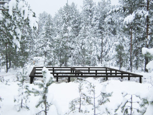 В компании «Фундэкс» идет месяц зимних скидок